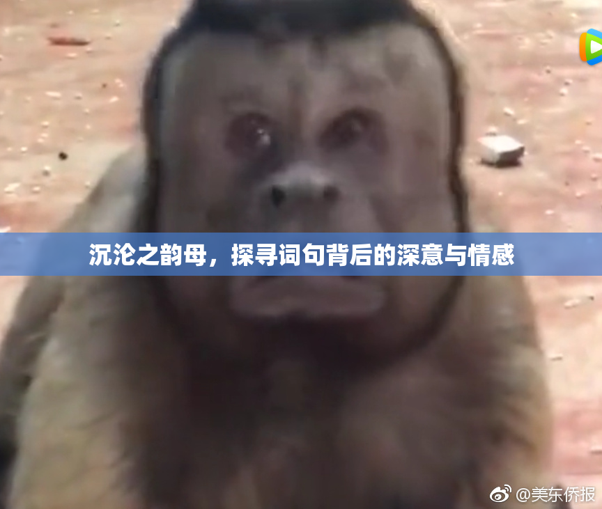 沉沦之韵母，探寻词句背后的深意与情感
