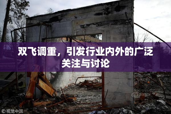双飞调重，引发行业内外的广泛关注与讨论