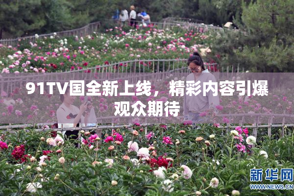 91TV国全新上线，精彩内容引爆观众期待
