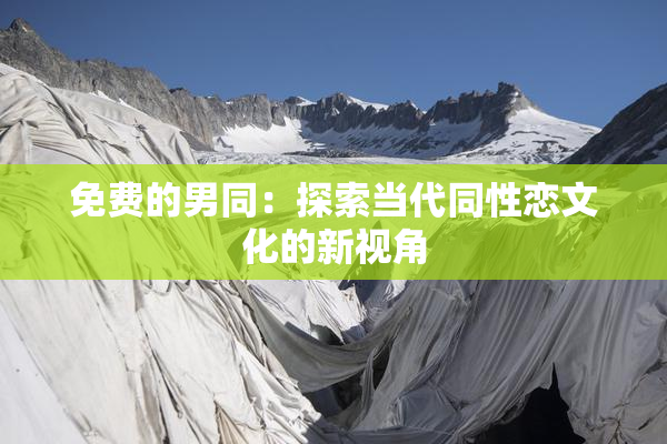 免费的男同：探索当代同性恋文化的新视角