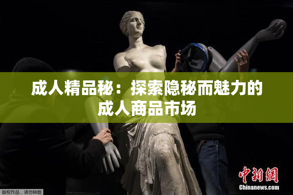 成人精品秘：探索隐秘而魅力的成人商品市场