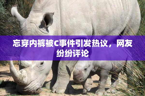 忘穿内裤被C事件引发热议，网友纷纷评论