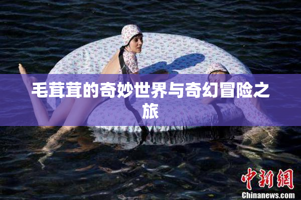 毛茸茸的奇妙世界与奇幻冒险之旅