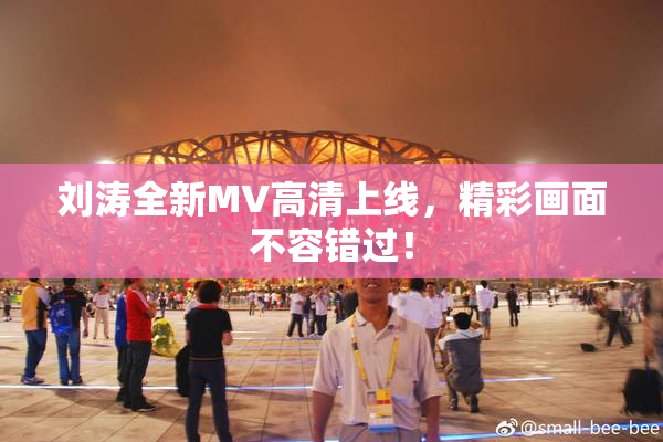 刘涛全新MV高清上线，精彩画面不容错过！