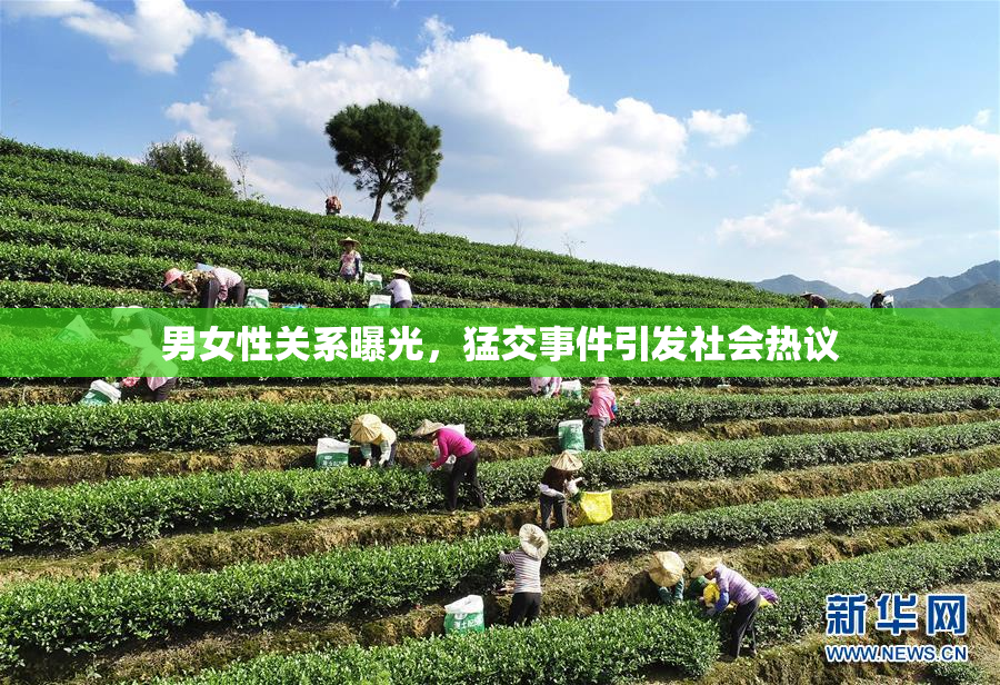 男女性关系曝光，猛交事件引发社会热议
