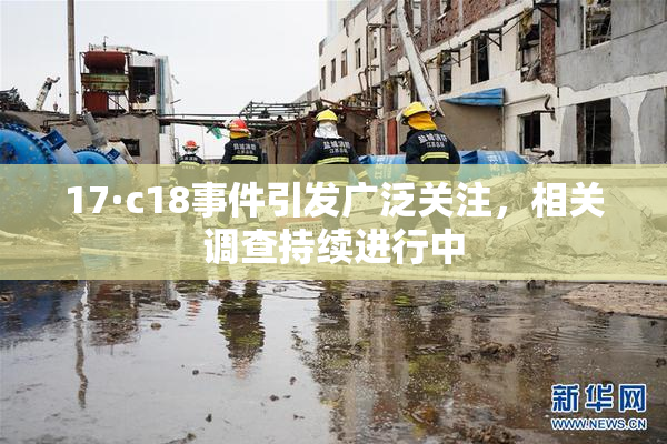 17·c18事件引发广泛关注，相关调查持续进行中