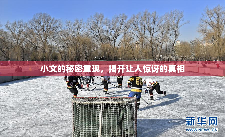 小文的秘密重现，揭开让人惊讶的真相