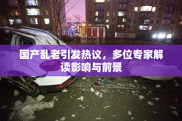 国产乱老引发热议，多位专家解读影响与前景