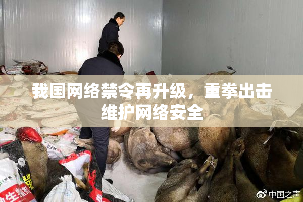 我国网络禁令再升级，重拳出击维护网络安全