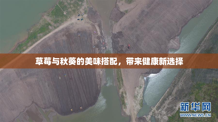 草莓与秋葵的美味搭配，带来健康新选择
