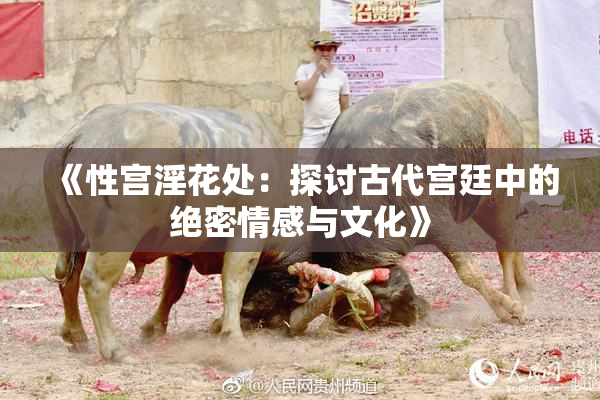 《性宫淫花处：探讨古代宫廷中的绝密情感与文化》