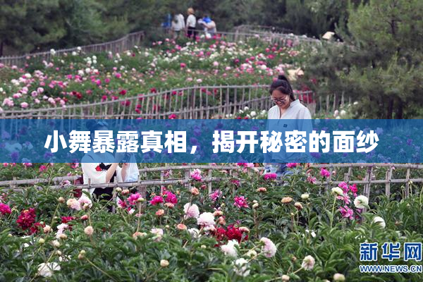 小舞暴露真相，揭开秘密的面纱