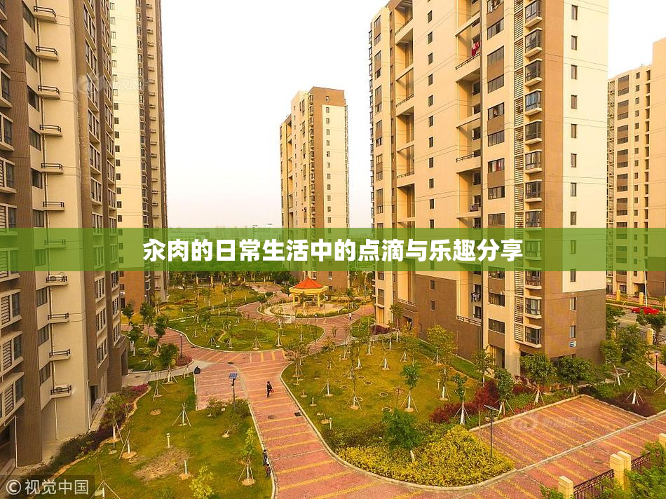 汆肉的日常生活中的点滴与乐趣分享