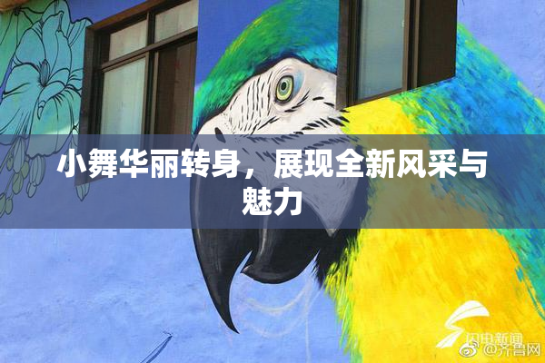 小舞华丽转身，展现全新风采与魅力