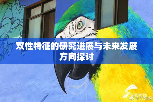 双性特征的研究进展与未来发展方向探讨