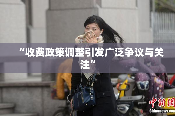 “收费政策调整引发广泛争议与关注”