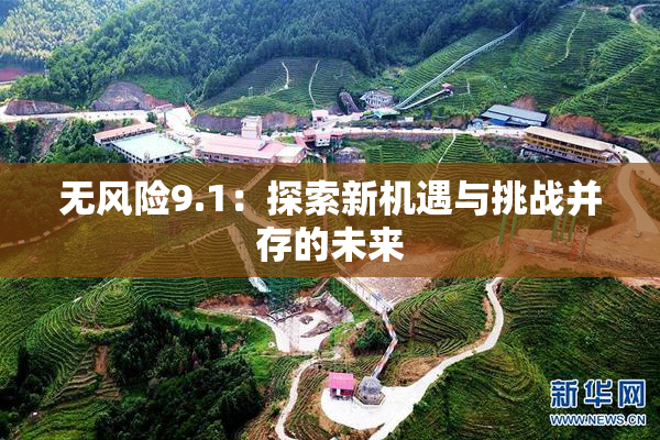 无风险9.1：探索新机遇与挑战并存的未来