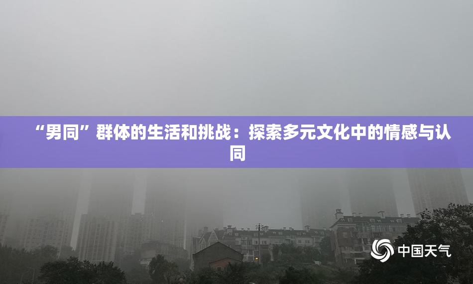 “男同”群体的生活和挑战：探索多元文化中的情感与认同