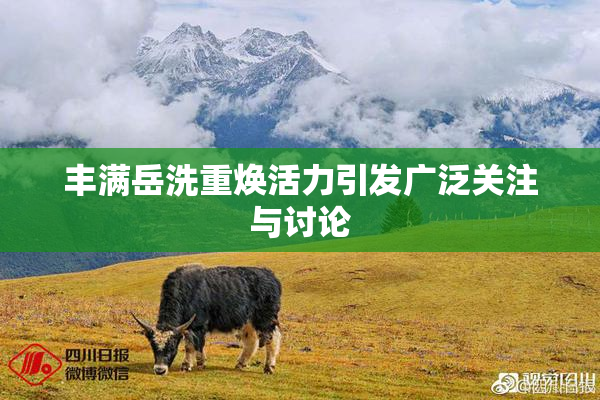 丰满岳洗重焕活力引发广泛关注与讨论