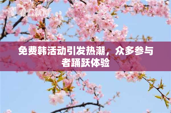 免费韩活动引发热潮，众多参与者踊跃体验