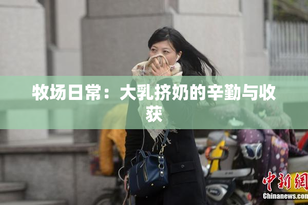 牧场日常：大乳挤奶的辛勤与收获
