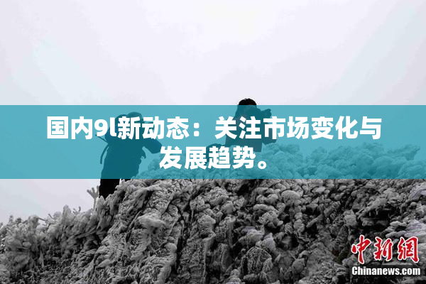 国内9l新动态：关注市场变化与发展趋势。
