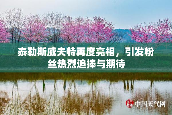 泰勒斯威夫特再度亮相，引发粉丝热烈追捧与期待