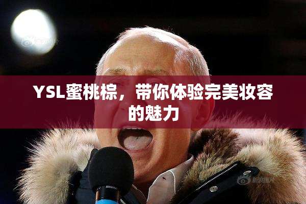 YSL蜜桃棕，带你体验完美妆容的魅力