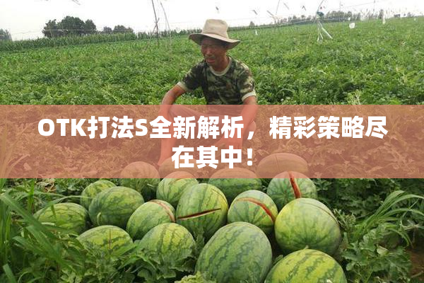 OTK打法S全新解析，精彩策略尽在其中！