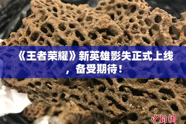 《王者荣耀》新英雄影失正式上线，备受期待！