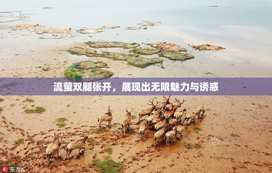 流萤双腿张开，展现出无限魅力与诱惑