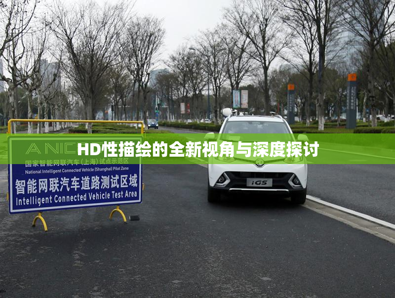 HD性描绘的全新视角与深度探讨