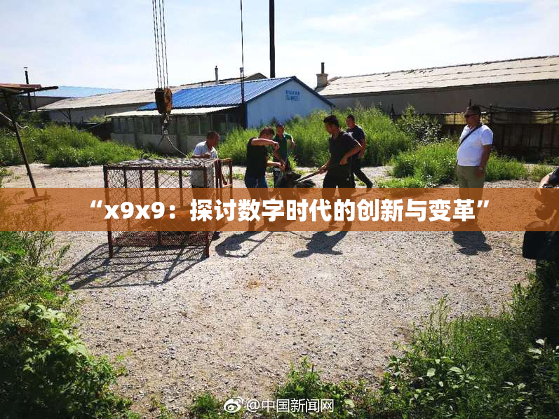 “x9x9：探讨数字时代的创新与变革”