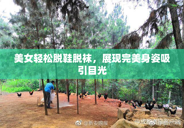 美女轻松脱鞋脱袜，展现完美身姿吸引目光