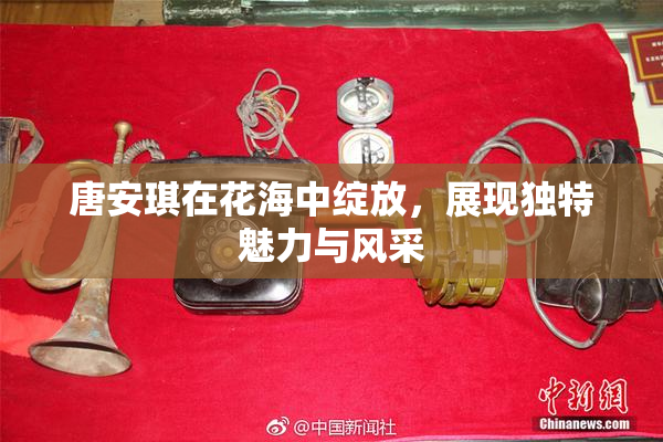 唐安琪在花海中绽放，展现独特魅力与风采