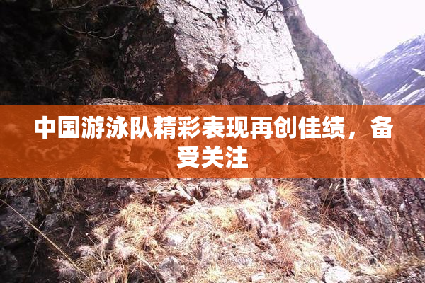 中国游泳队精彩表现再创佳绩，备受关注