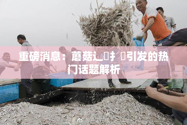 重磅消息：蘑菇辶喿扌畐引发的热门话题解析