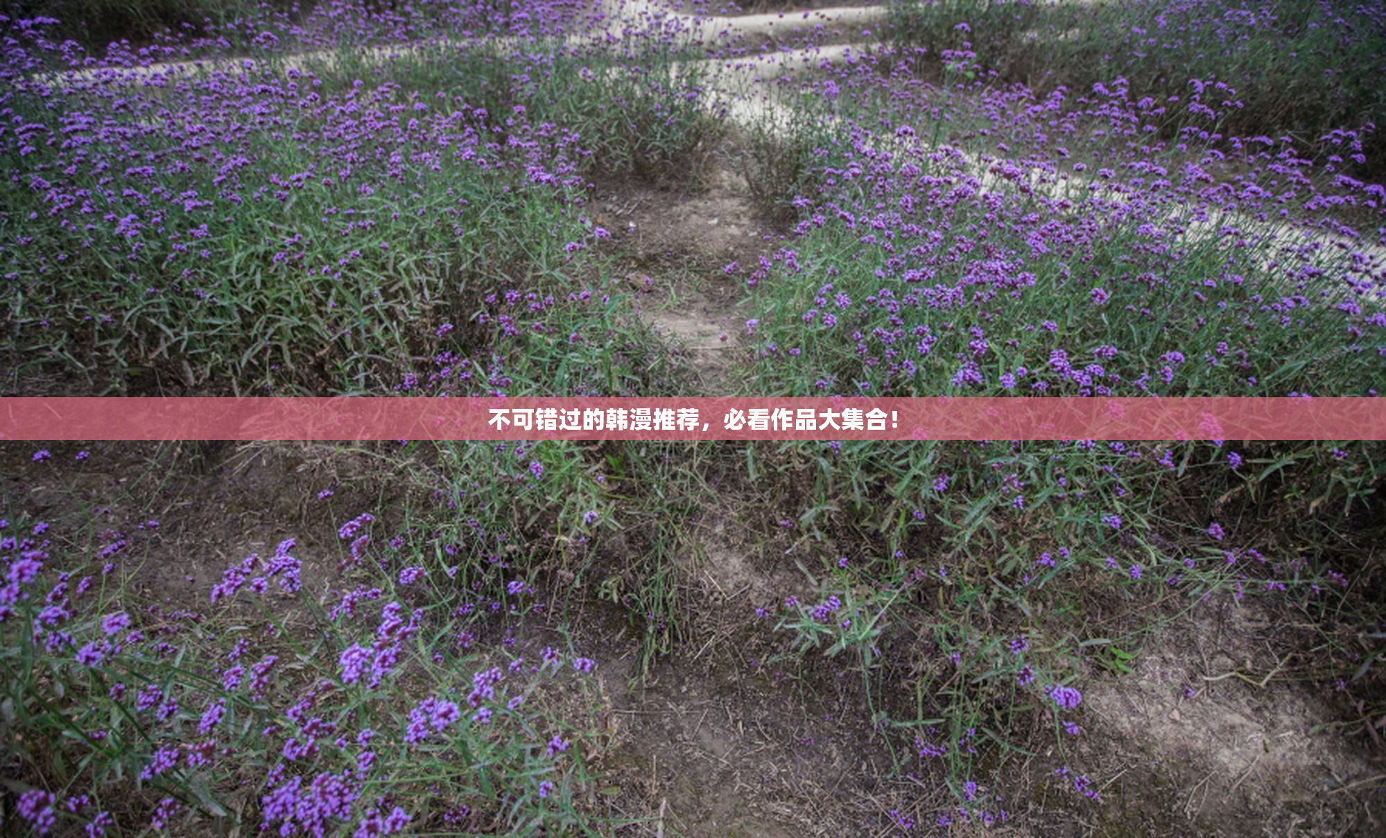 不可错过的韩漫推荐，必看作品大集合！