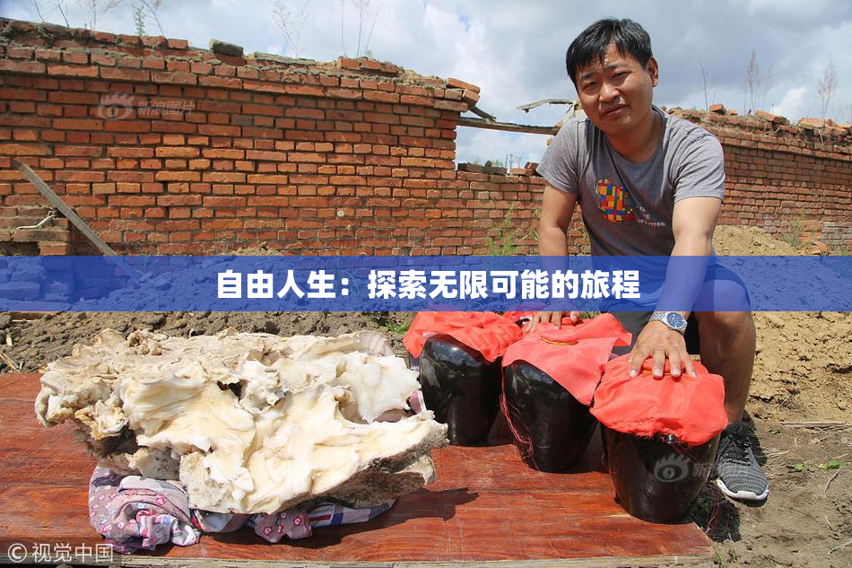 自由人生：探索无限可能的旅程