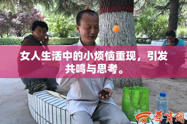女人生活中的小烦恼重现，引发共鸣与思考。