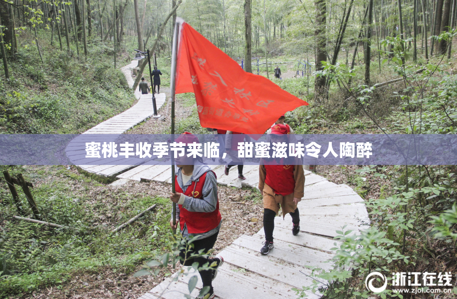 蜜桃丰收季节来临，甜蜜滋味令人陶醉