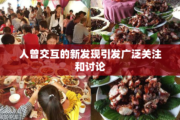 人曾交互的新发现引发广泛关注和讨论