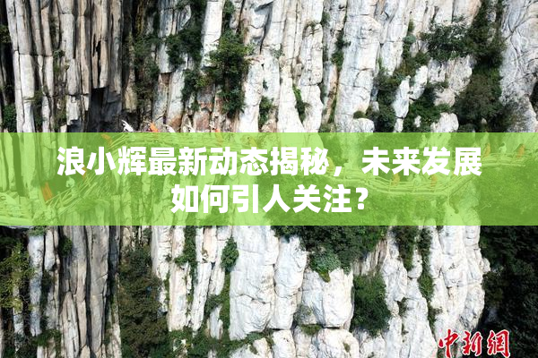 浪小辉最新动态揭秘，未来发展如何引人关注？