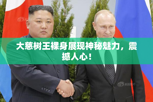 大慈树王裸身展现神秘魅力，震撼人心！