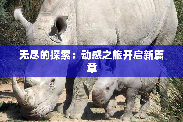 无尽的探索：动感之旅开启新篇章