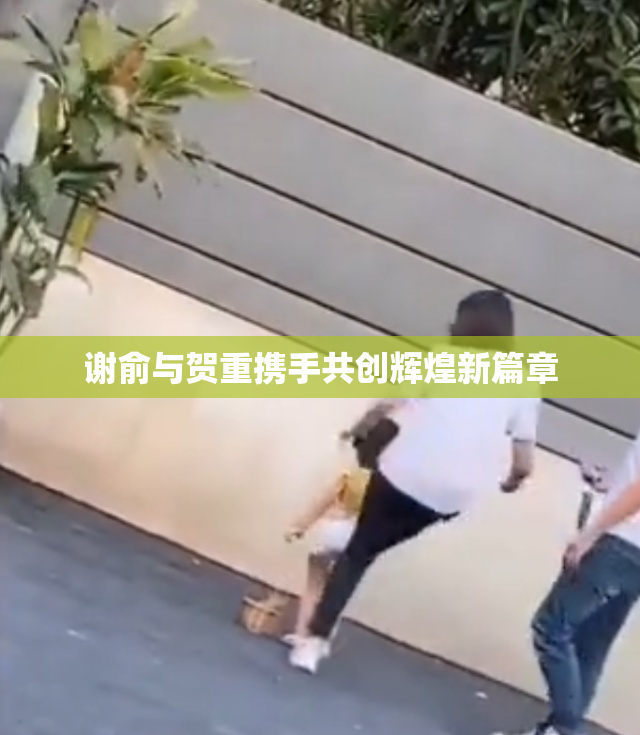 谢俞与贺重携手共创辉煌新篇章