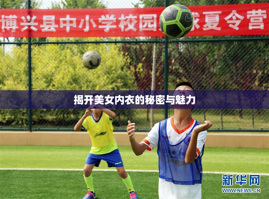 揭开美女内衣的秘密与魅力