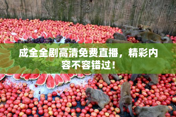成全全剧高清免费直播，精彩内容不容错过！