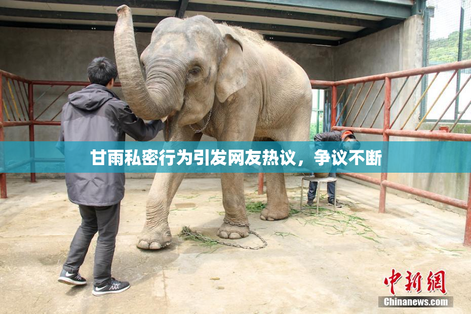 甘雨私密行为引发网友热议，争议不断
