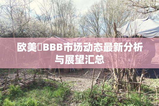 欧美槡BBB市场动态最新分析与展望汇总